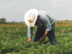 El campo colombiano se transforma: productividad, tecnología y mercados globales impulsan una nueva ruralidad