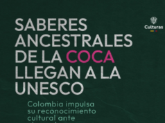 Colombia postula ante la UNESCO los saberes ancestrales de la coca como patrimonio cultural Saberes ancentrales de la coca llegan a la UNESCO, mano, fondo negro, hojas de coca